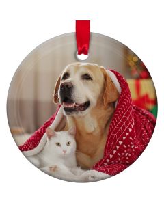 Personalized Frosted Glass Ornament