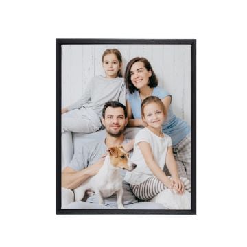 Framed Canvas Prints