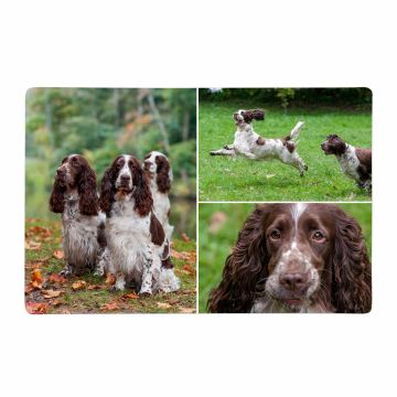 3 Photo Collage White Magnet