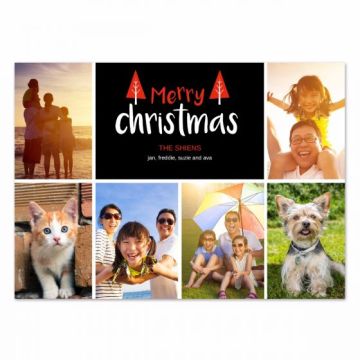 Merry Trees Photo Christmas Card