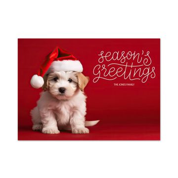 Season's Greetings Holiday Card