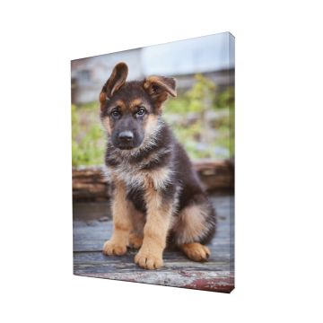 Standard Bar Custom Canvas Prints